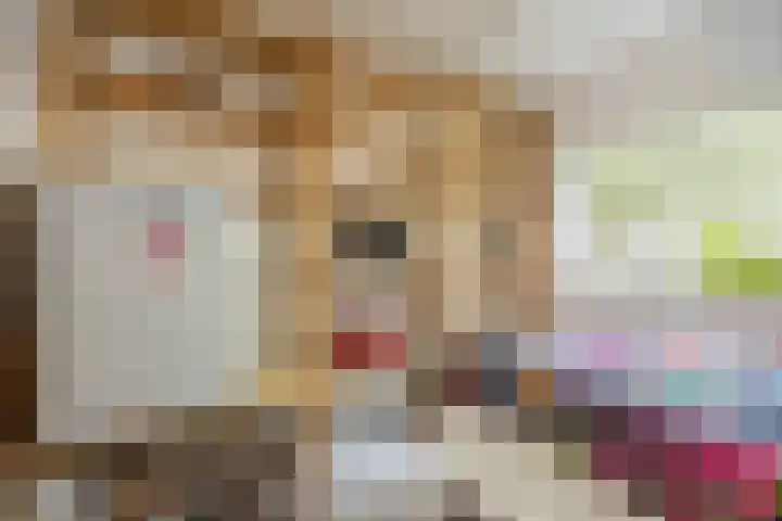 Policestraat 30 Lent thumbnail 15