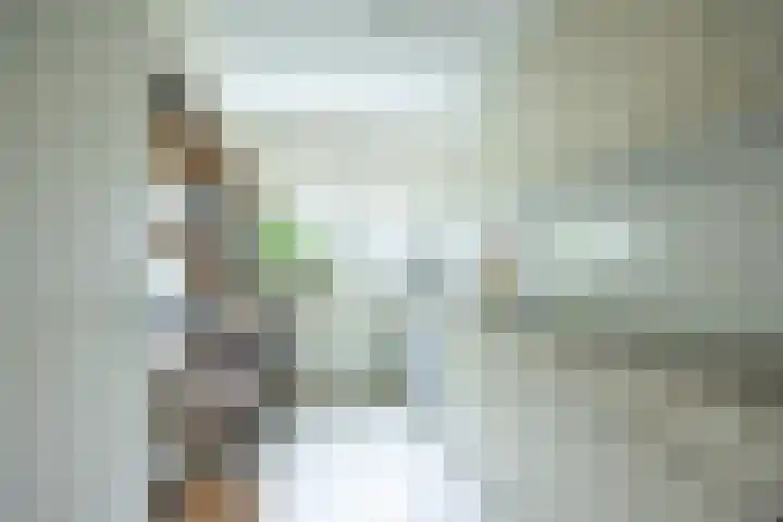 Policestraat 30 Lent thumbnail 21