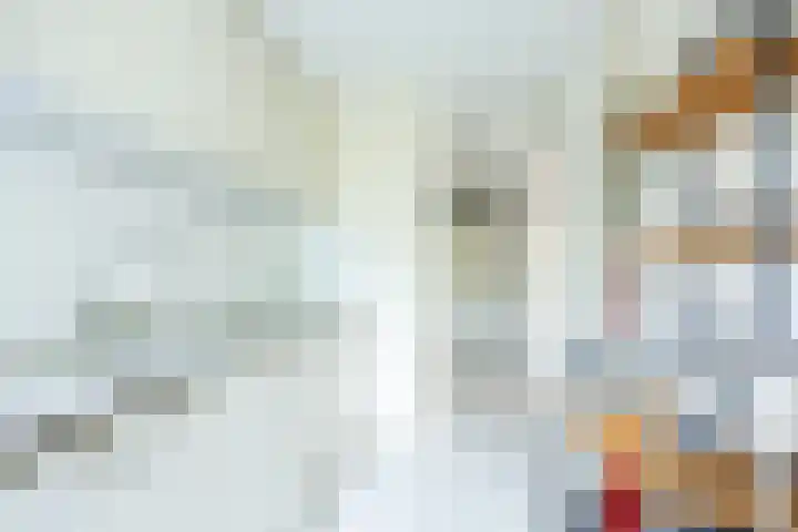 Policestraat 30 Lent thumbnail 22