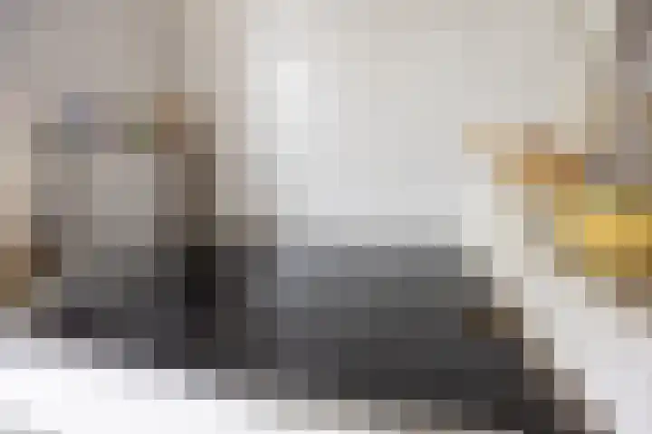 Policestraat 30 Lent thumbnail 23