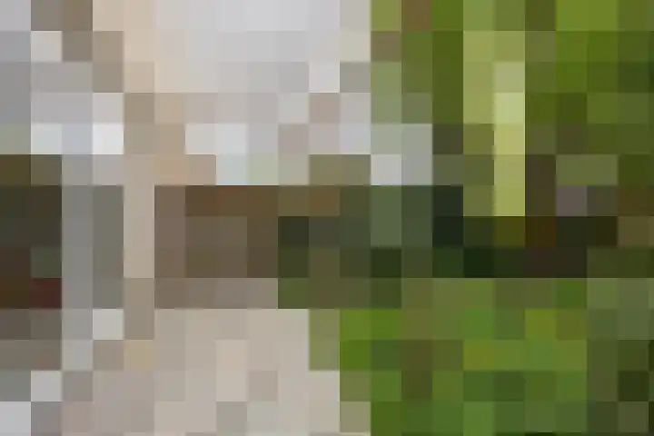 Policestraat 30 Lent thumbnail 30
