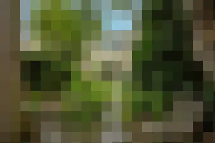 Policestraat 30 Lent thumbnail 32
