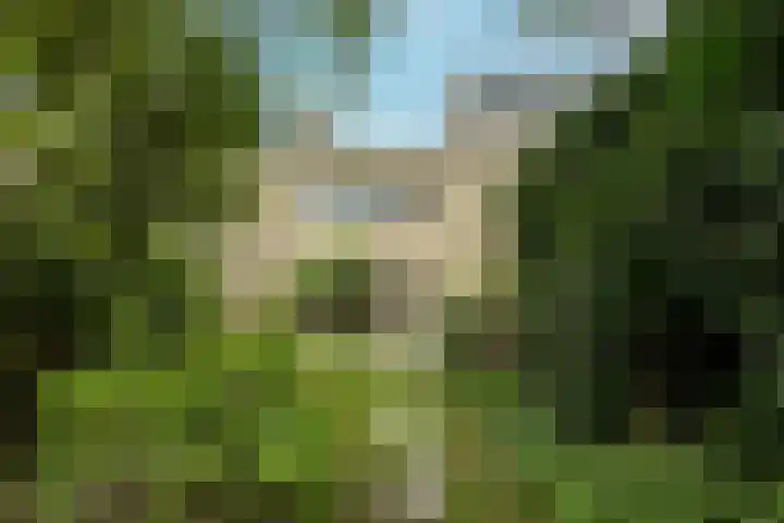 Policestraat 30 Lent thumbnail 33