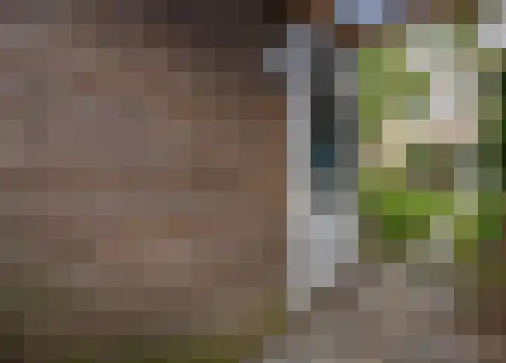 Policestraat 30 Lent thumbnail 34