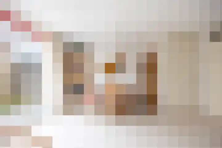 Policestraat 30 Lent thumbnail 9