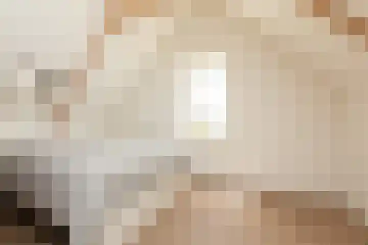 Polle 14 Arum thumbnail 24