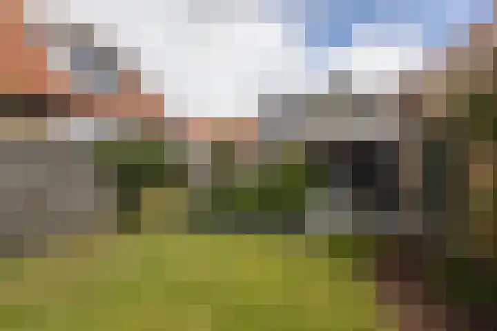 Polle 14 Arum thumbnail 35