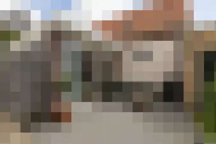 Polle 14 Arum thumbnail 36