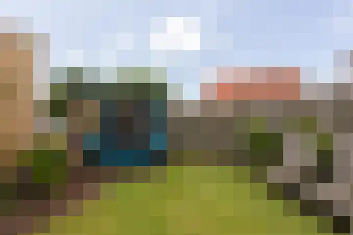 Polle 14 Arum thumbnail 38