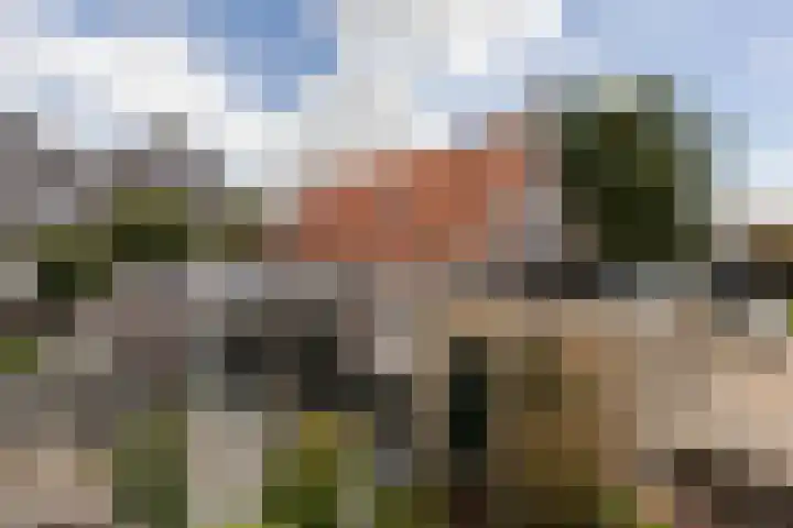 Polle 14 Arum thumbnail 41
