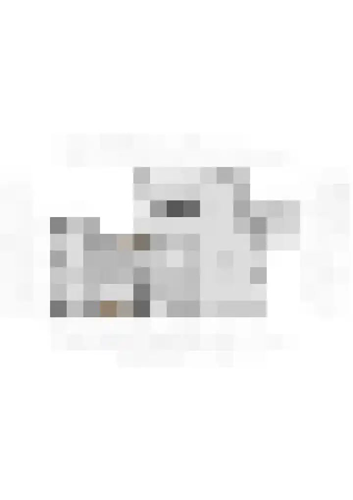 Polle 14 Arum thumbnail 43