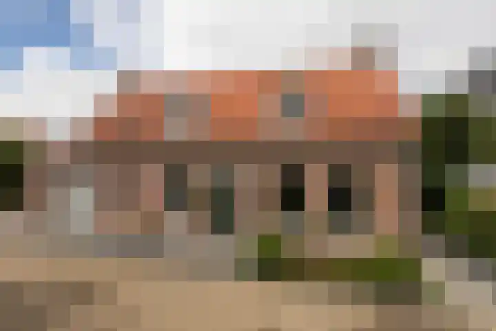 Polle 14 Arum thumbnail 45