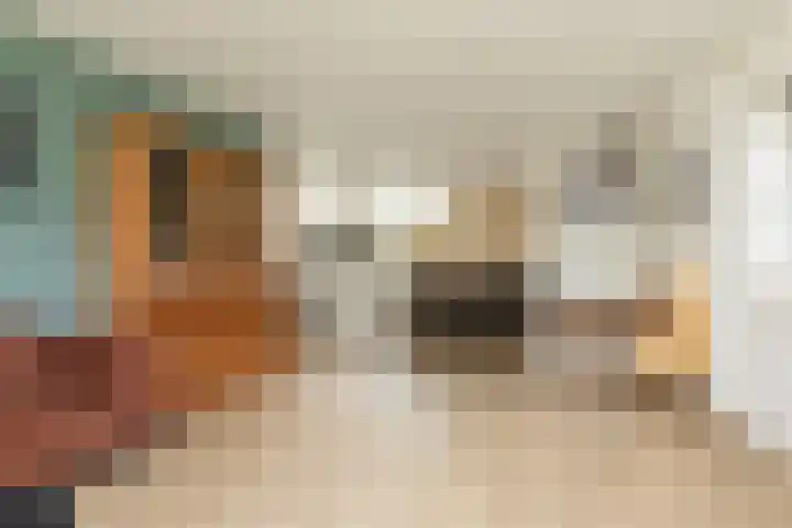 Polle 14 Arum thumbnail 8