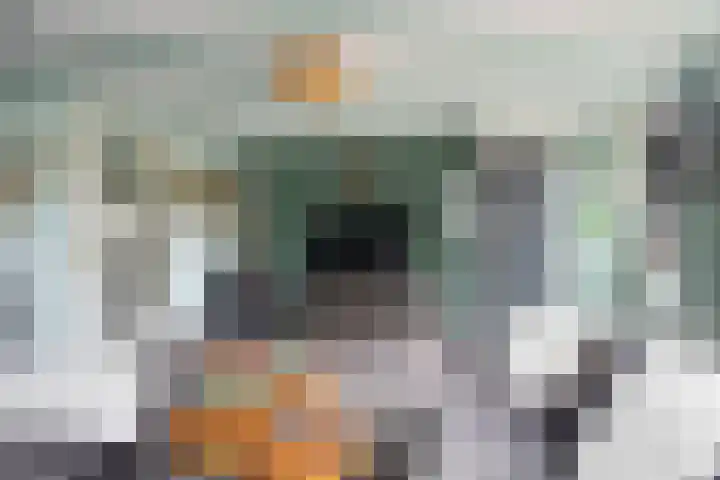 Polle 44 Arum thumbnail 13
