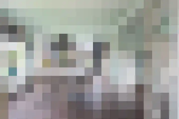 Polle 44 Arum thumbnail 14