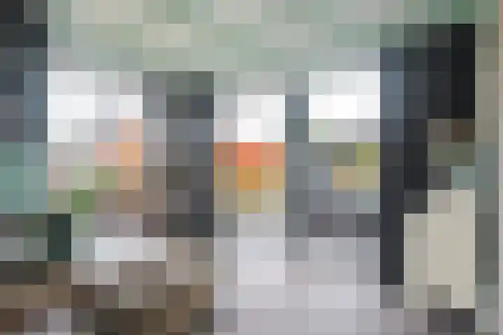 Polle 44 Arum thumbnail 17