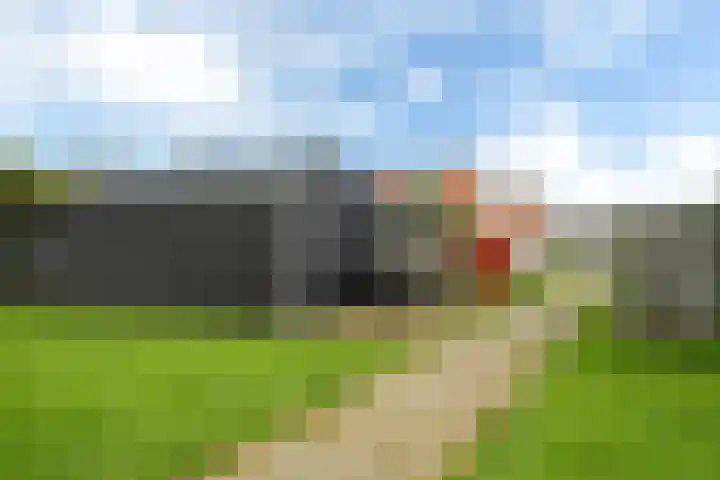 Polle 44 Arum thumbnail 24