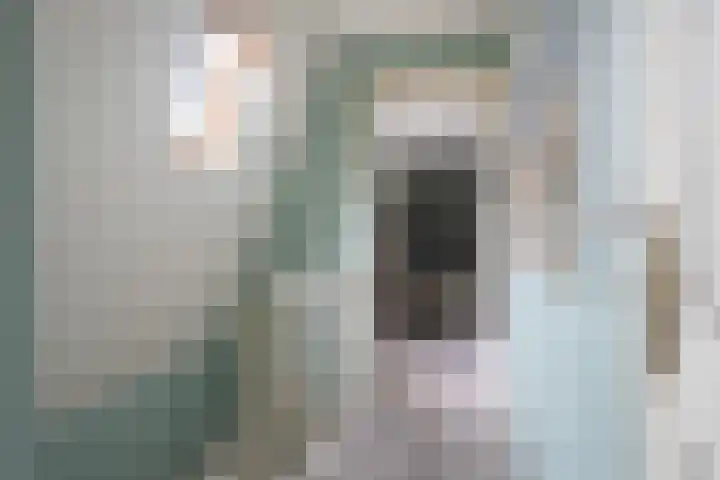 Polle 44 Arum thumbnail 26