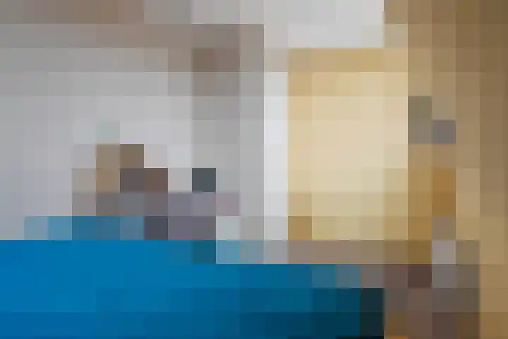 Polle 44 Arum thumbnail 32