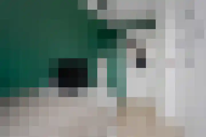 Polle 44 Arum thumbnail 34