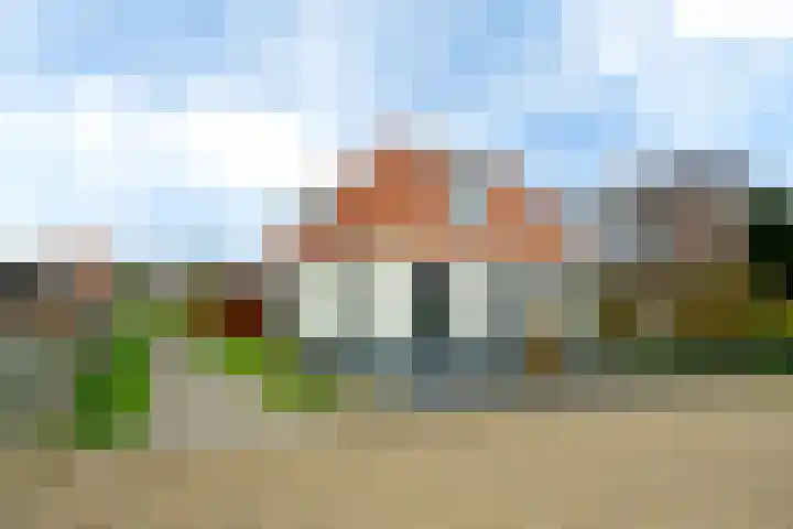 Polle 44 Arum thumbnail 39
