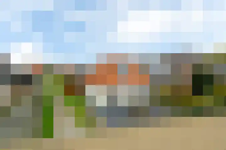 Polle 44 Arum thumbnail 4