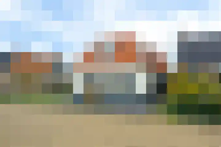 Polle 44 Arum thumbnail 40