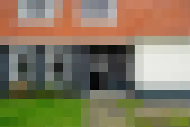 Polle 44 Arum thumbnail 7