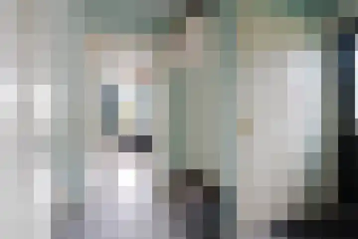 Polle 44 Arum thumbnail 8