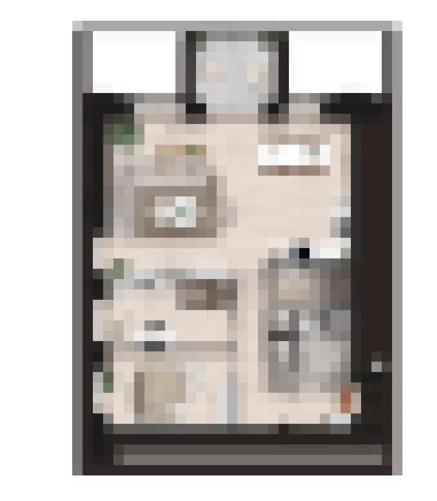 Polle 9 Lemmer thumbnail 4