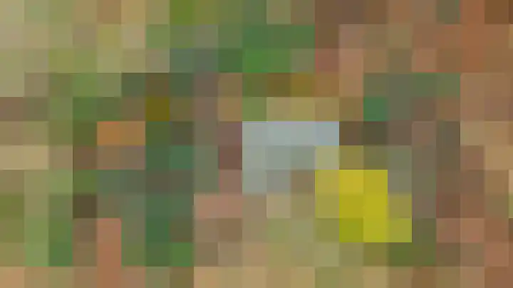 Pollenseweg 16 Emst thumbnail 17