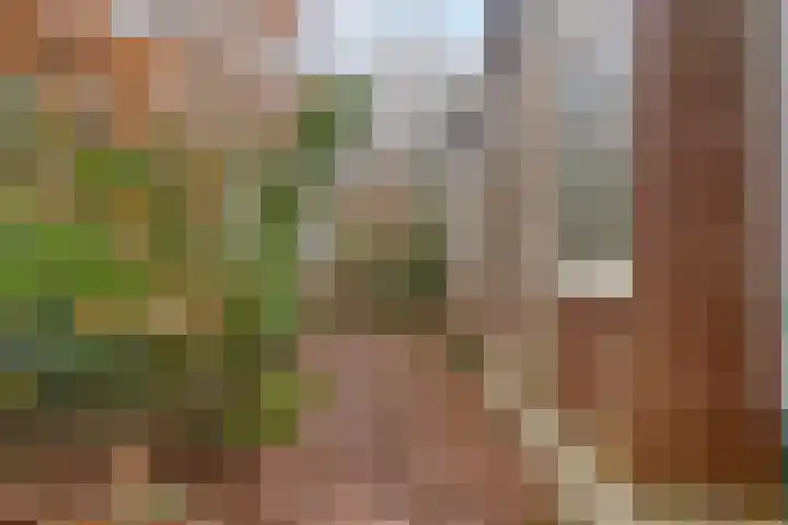 Pollenseweg 16 Emst thumbnail 19