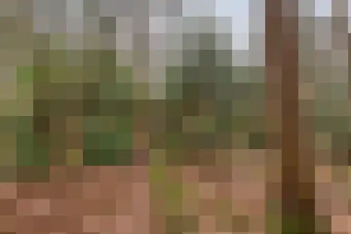 Pollenseweg 16 Emst thumbnail 20