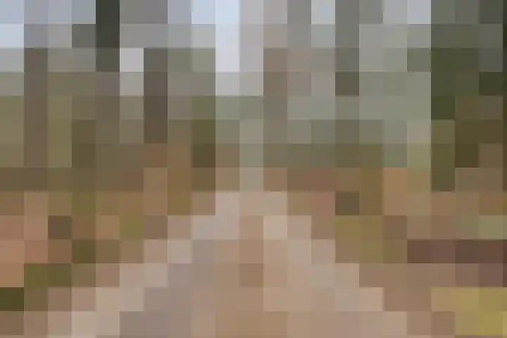 Pollenseweg 16 Emst thumbnail 21