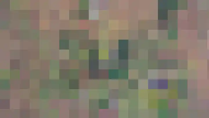 Pollenseweg 16 Emst thumbnail 22