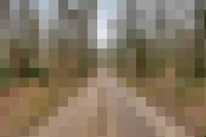 Pollenseweg 16 Emst thumbnail 4
