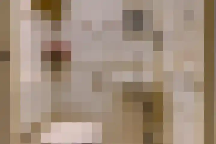 Pollenstein 49 Ede thumbnail 10