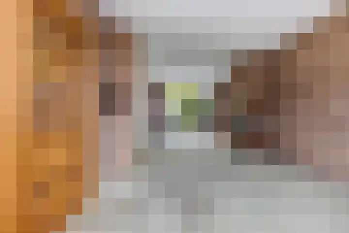 Pollenstein 49 Ede thumbnail 4