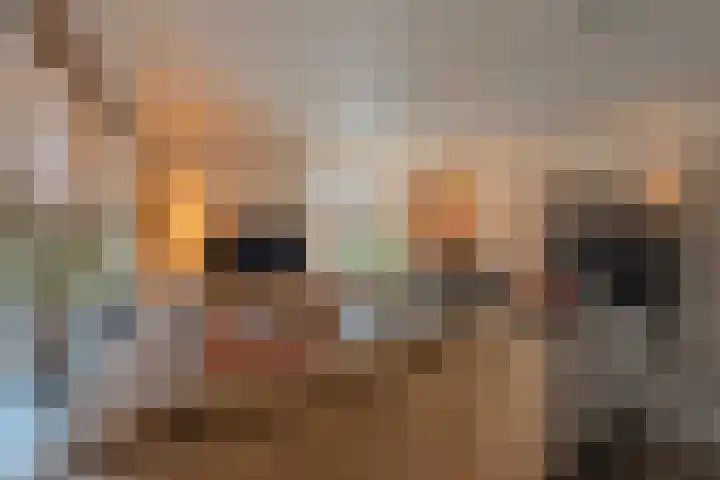 Pollux 22 Katwijk thumbnail 17