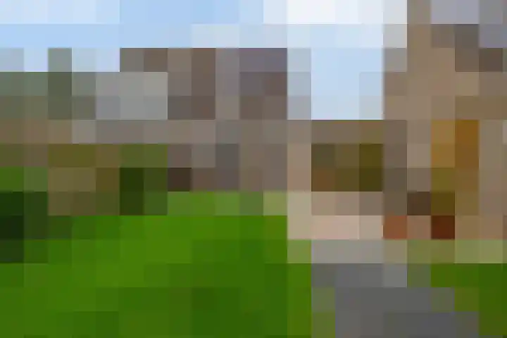Pollux 22 Lemmer thumbnail 32