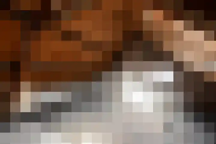 Pollux 22 Lemmer thumbnail 38