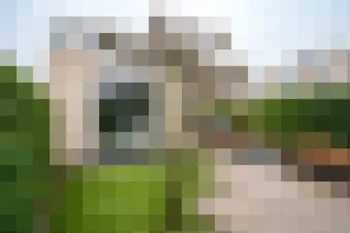 Polluxstraat 52 Almere thumbnail 48