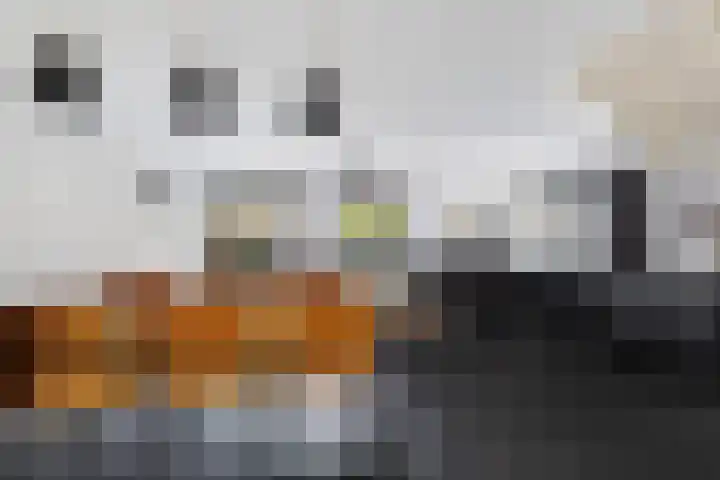 Pols-akker 4 Barendrecht thumbnail 12