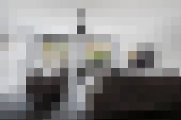 Pols-akker 4 Barendrecht thumbnail 13