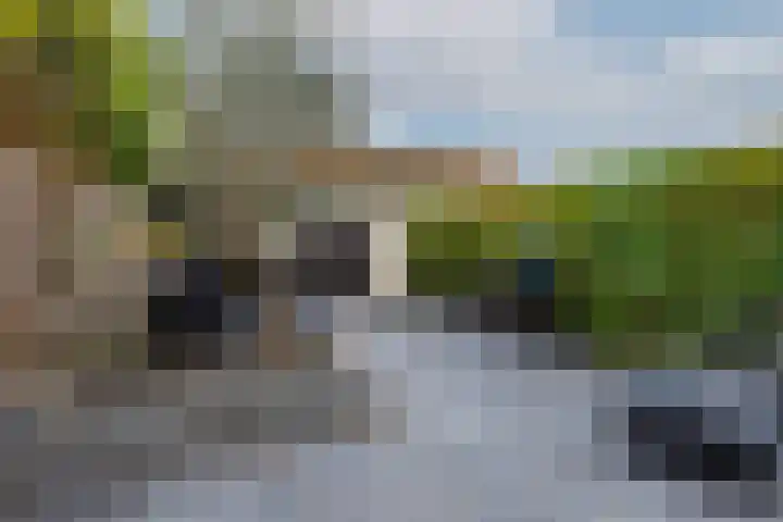 Pols-akker 4 Barendrecht thumbnail 38