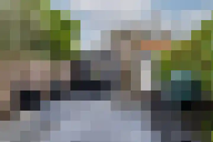 Pols-akker 4 Barendrecht thumbnail 39