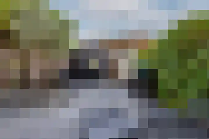 Pols-akker 4 Barendrecht thumbnail 5