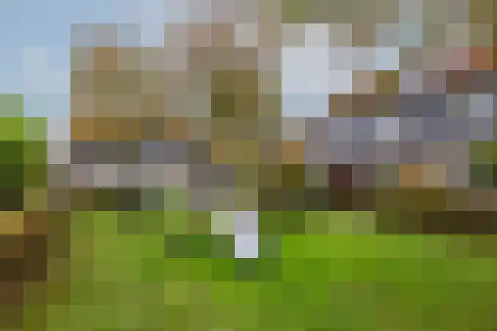 Pols-akker 4 Barendrecht thumbnail 8