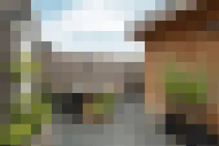 Polykarp Kuschstraat 4 Almere thumbnail 29