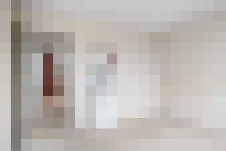 Pompeblêdstrjitte 7 Stiens thumbnail 18
